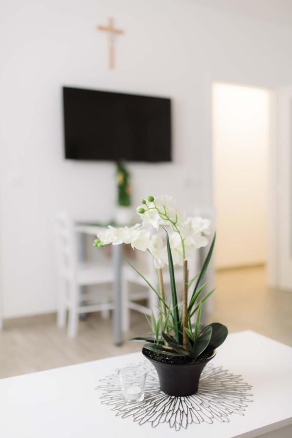 Ruza Apartment *