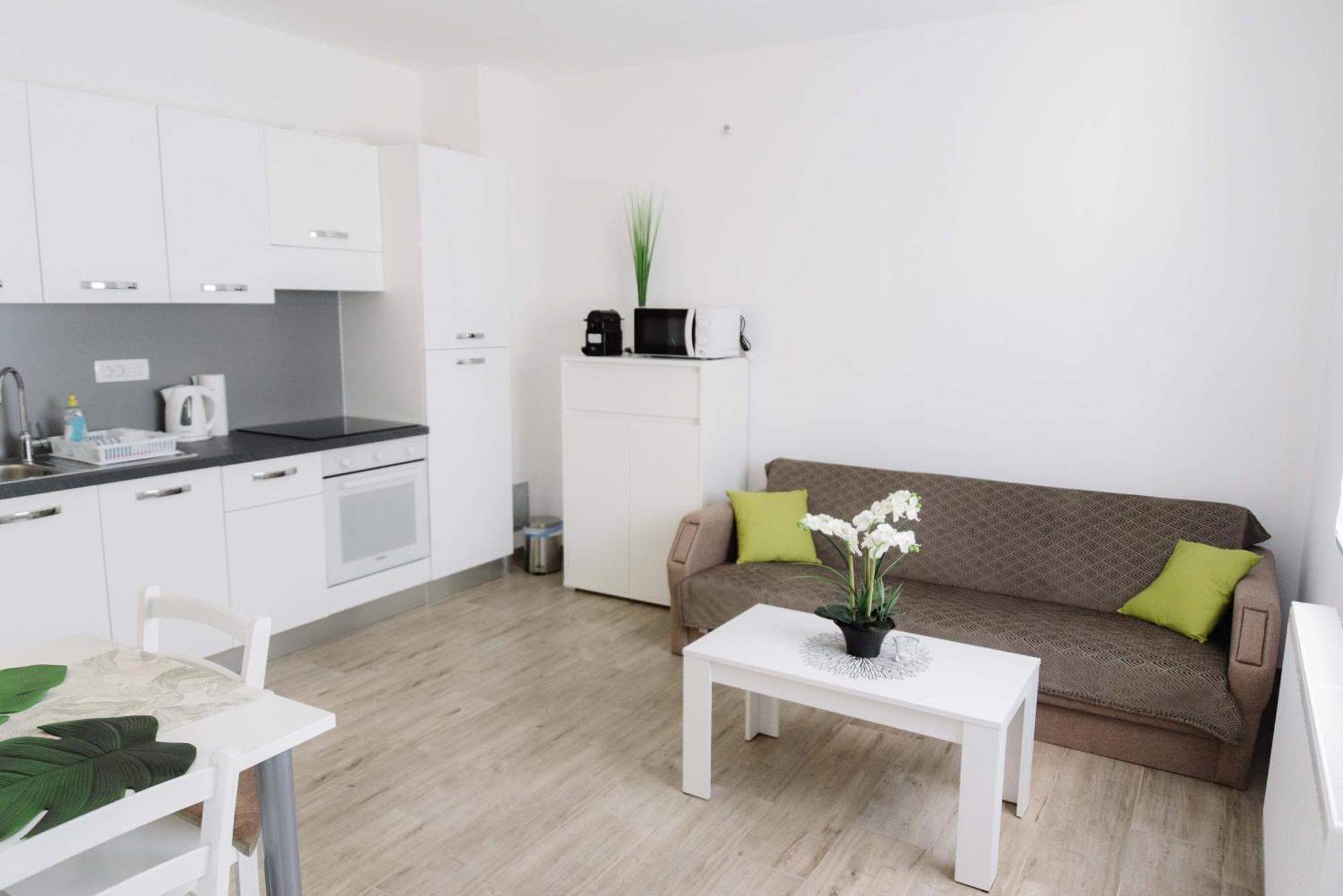 Apartment Ruza